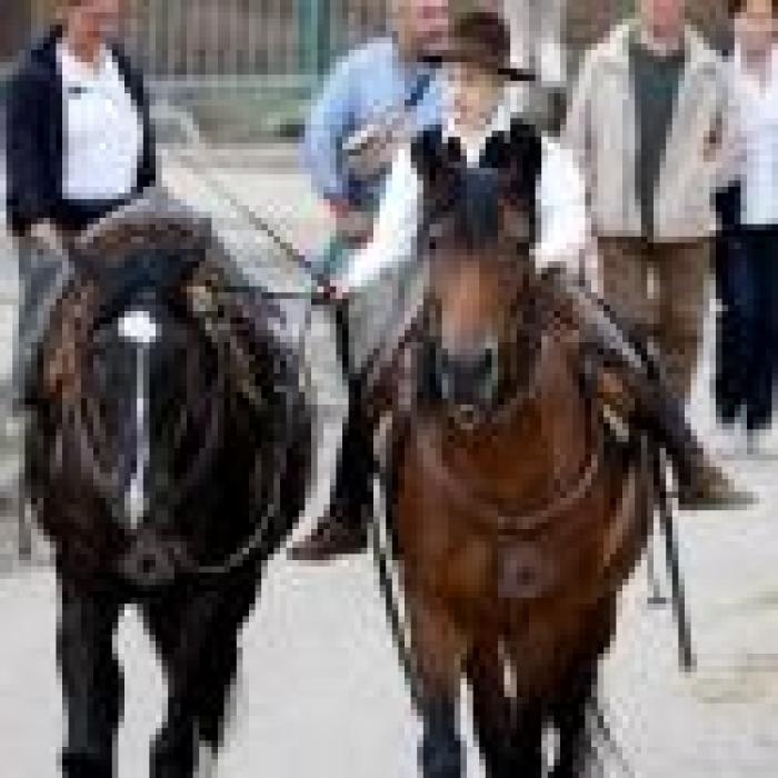 Fieracavalli, a Verona la difesa delle Razze Italiane