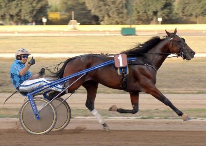L'arriva di Norton Ans guidato da Giampaolo Minnucci- Foto Sophie Lanca