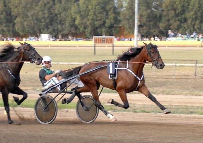 L'arrivo di Napoleon Bar guidato da Enrico Bellei. foto Sophie Lanca L'arrivo di Napoleon Bar guidato da Enrico Bellei. foto Sophie Lanca