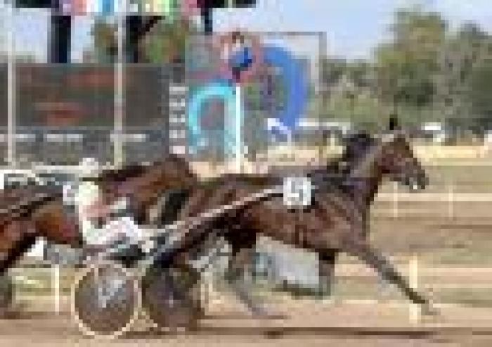 Derby-trotto, ecco il campo definitivo dei partenti Derby-trotto, ecco il campo definitivo dei partenti