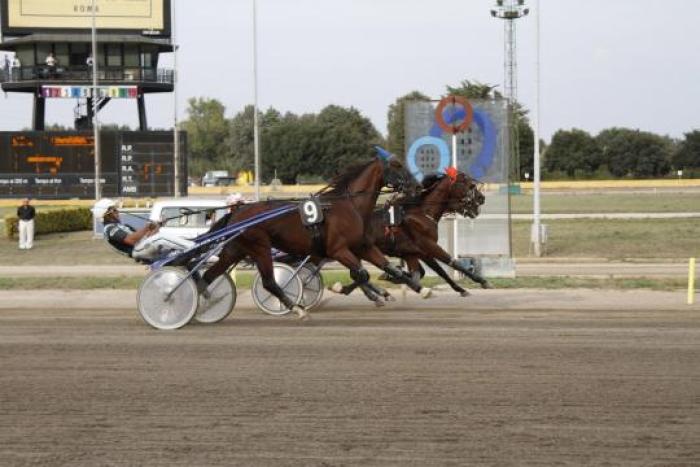 OSCAR DI JESOLO OSCAR DI JESOLO