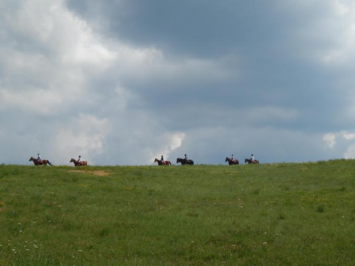 A cavallo tra castagni e castelli A cavallo tra castagni e castelli