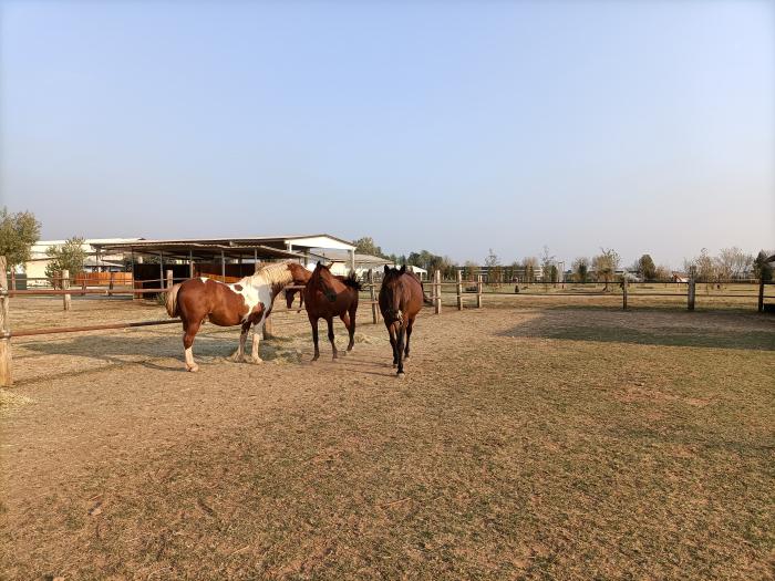 Due cavalieri di eccezione all'inaugurazione di Asom