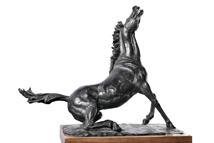 Il cavallo che cade e l’eroe che si rialza. Il cavallo che cade e l’eroe che si rialza.