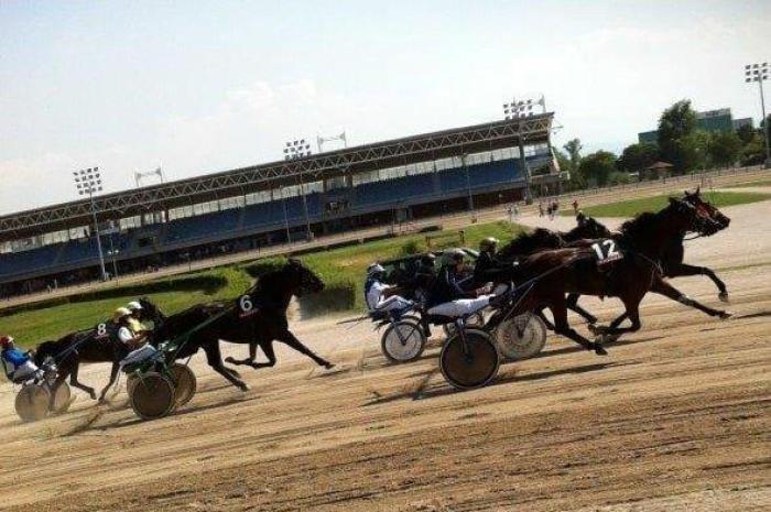 Modena, in pista senza frusta per beneficenza Modena, in pista senza frusta per beneficenza