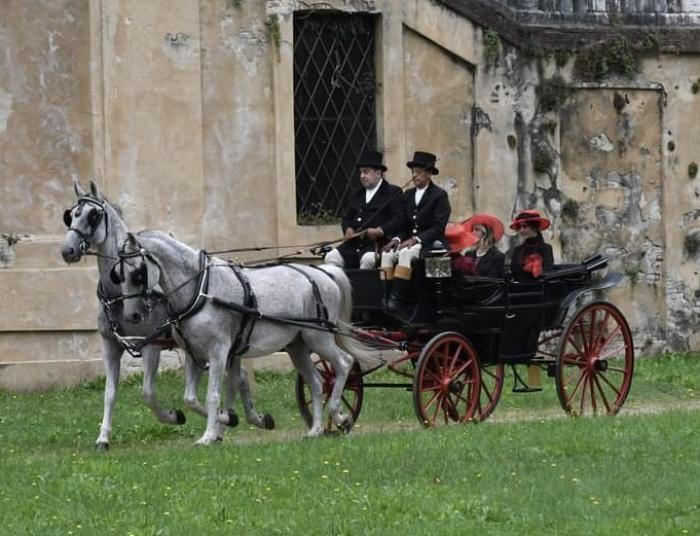 L'eleganza delle redini lunghe al castello di Agli&egrave;