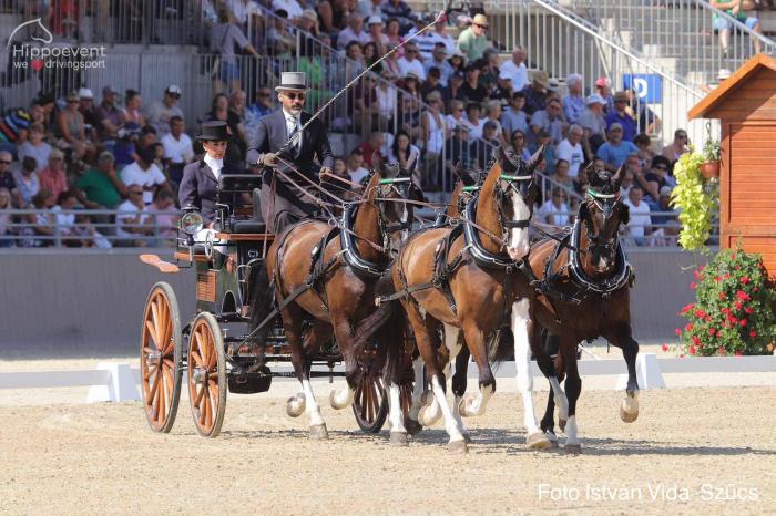 Luca Cassottana,  e Adamo Martin  al Campionato mondiale di tiro a quattro