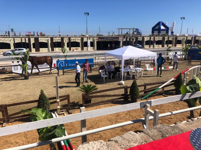 G7 agricoltura cavalli ad Ortigia