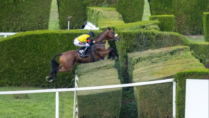 Merano internazionale, i francesi contro lo squadrone giallo-nero