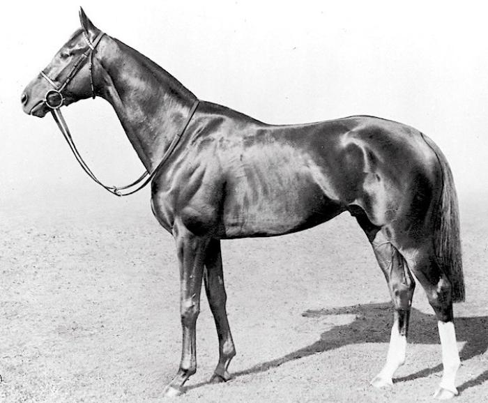 SEA BIRD : il piu' forte di sempre? SEA BIRD : il piu' forte di sempre?