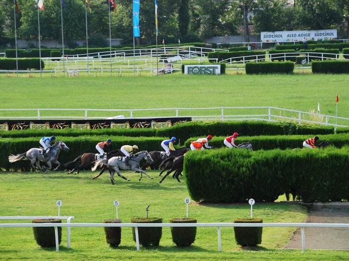 MERANO LA NOSTRA ATENE , CROGIOLO DI CULTURE, ECCELLENZA DEL NOSTRO TURF