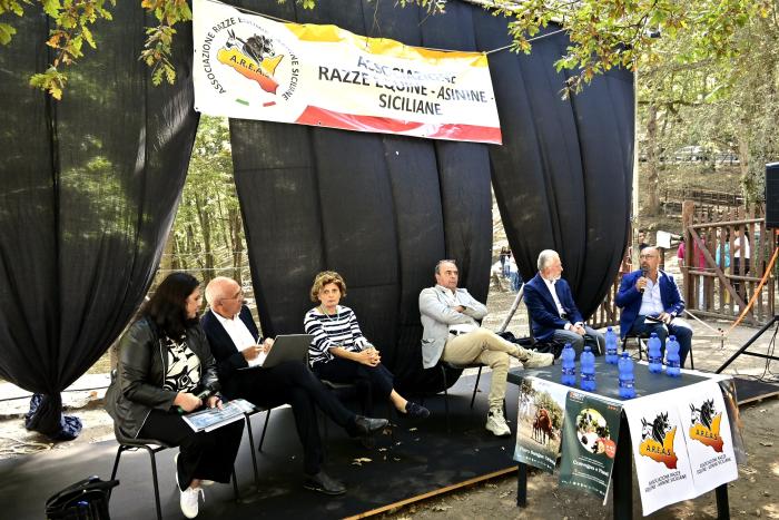 Caronia, Convegno su Ruolo della Riabilitazione Equestre nella Relazione di Cura Caronia, Convegno su Ruolo della Riabilitazione Equestre nella Relazione di Cura
