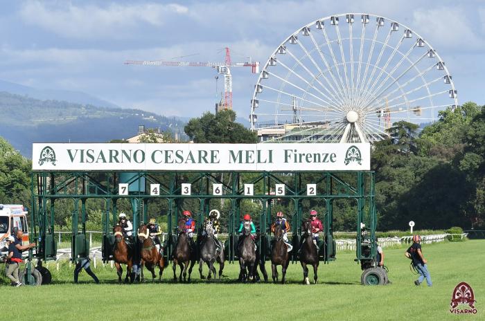 Firenze, galoppo, partenti e qualità nel convegno di giovedì al Visarno Firenze, galoppo, partenti e qualità nel convegno di giovedì al Visarno