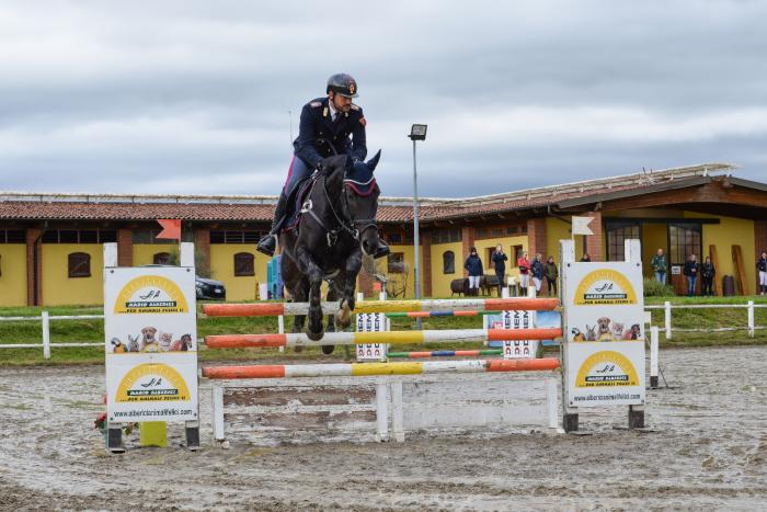 Cavalli e non solo: chiusura trionfale tra sport e solidarietà Cavalli e non solo: chiusura trionfale tra sport e solidarietà