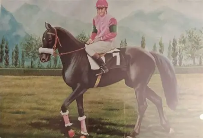 Cartoline del Merano, Red Chief e Duel insieme sul traguardo Cartoline del Merano, Red Chief e Duel insieme sul traguardo