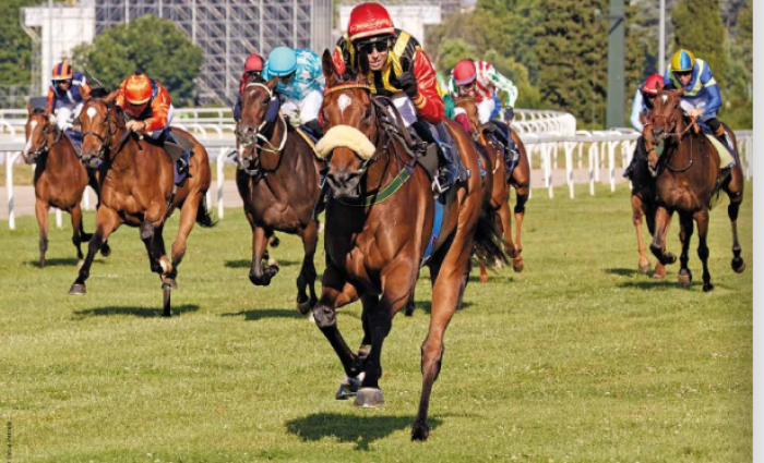 Il galoppo di Milano, domenica parte la stagione autunnale Il galoppo di Milano, domenica parte la stagione autunnale