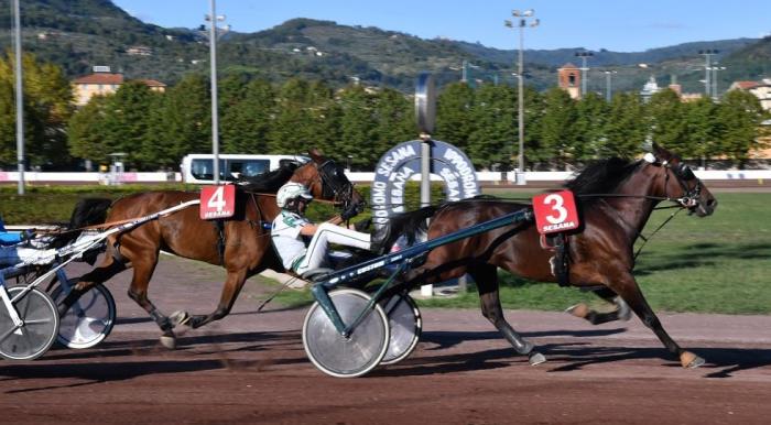 I due anni in copertina al Sesana in un insolito lunedì pomeriggio I due anni in copertina al Sesana in un insolito lunedì pomeriggio