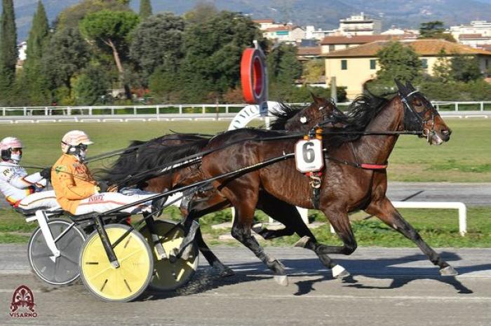 I record mondiali del trotto: un aggiornamento