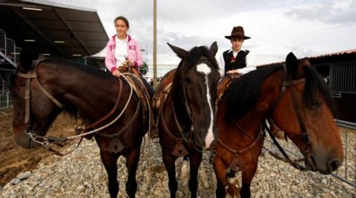 Ivo, Maria e i loro cavalli tolfetani. Foto Stefano Grasso. Sotto cliccando alcuni cavalli murgesi