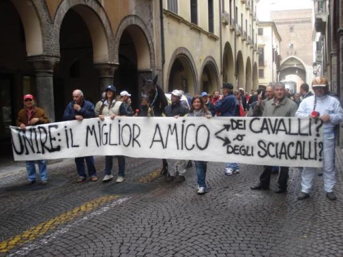 In home page, qui sopra e sotto cliccando alcune immagini della manifestazione