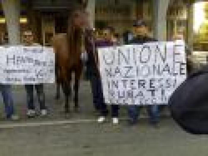 Protesta con cavalli anche alla sede dell'Unire