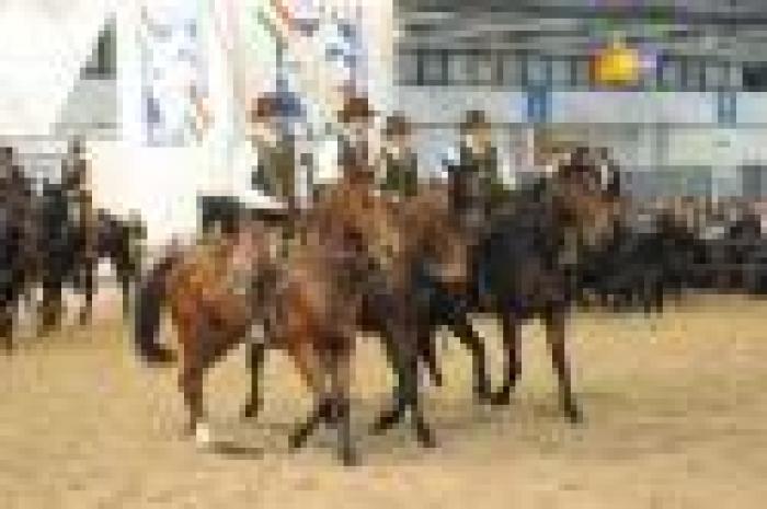 Fieracavalli, in vetrina i gioielli di ''Italialleva''