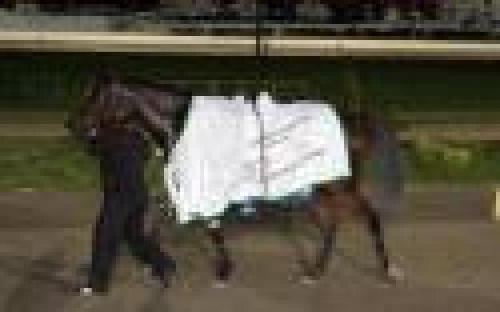 G.P. Freccia d'Europa, Irina star con primato G.P. Freccia d'Europa, Irina star con primato