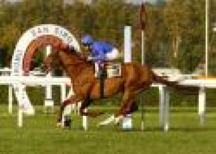 Galoppo, cinquina di Dettori nel G.P. Jockey Club Galoppo, cinquina di Dettori nel G.P. Jockey Club