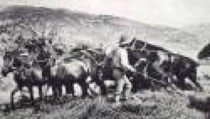 Fieracavalli, in un libro ''Il Pony di Esperia'' Fieracavalli, in un libro ''Il Pony di Esperia''