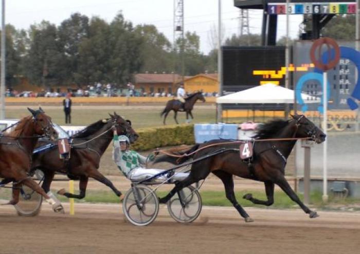 Qui sopra Nadir Kronos sul traguardo. Sotto cliccando un momento della premiazione dei vincitori del derby. Foto Sophie Lanca