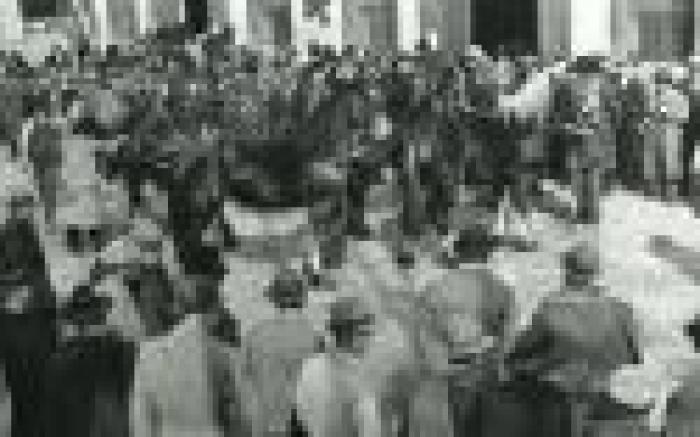 Fieracavalli, 1976 anno della consacrazione