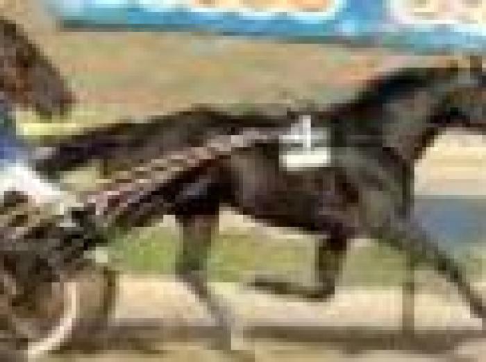 Opal Viking, vittoria e record nel G.P. Turilli