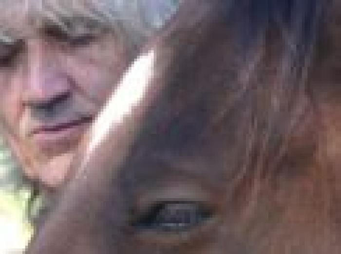 Daniele Mazzanti e Geniu Zen alla Cerreta