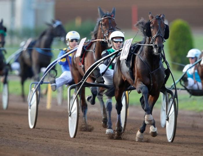 Trotto, Bellei vince il Derby delle sorprese