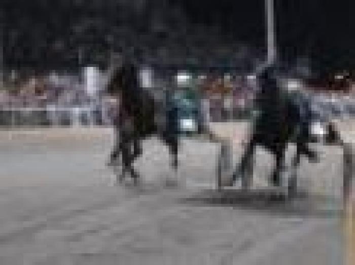 La Svezia fa il pieno nell'Europeo a Cesena