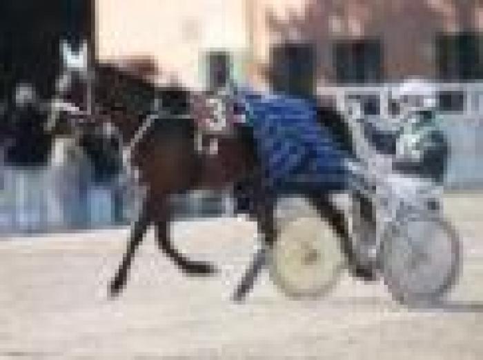 G.P. Italia, Nakitast e poi tutti gli altri G.P. Italia, Nakitast e poi tutti gli altri