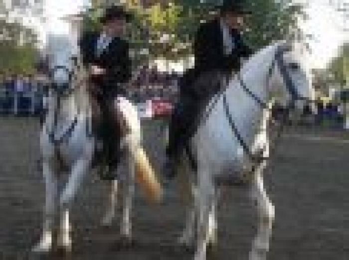 Cavalieri della Camargue in azione (foto di Mirko Avoledo) Cavalieri della Camargue in azione (foto di Mirko Avoledo)