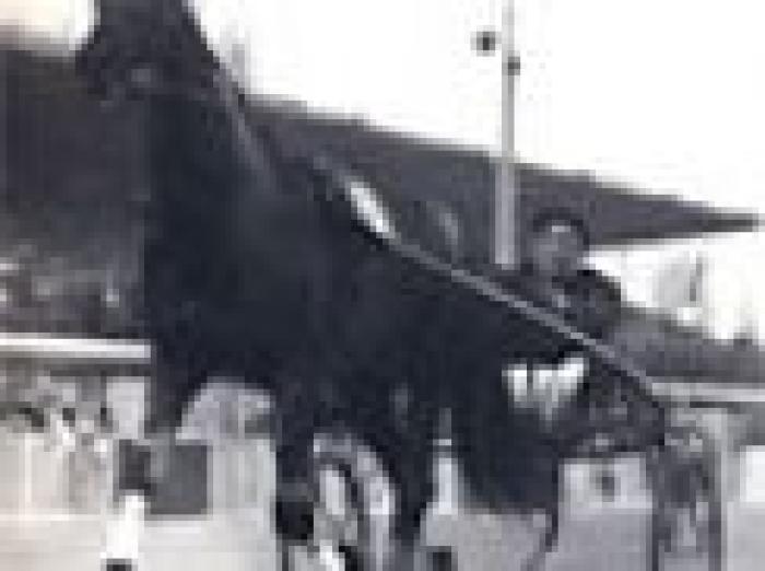 Trotto amarcord: Crevalcore campione da urlo.