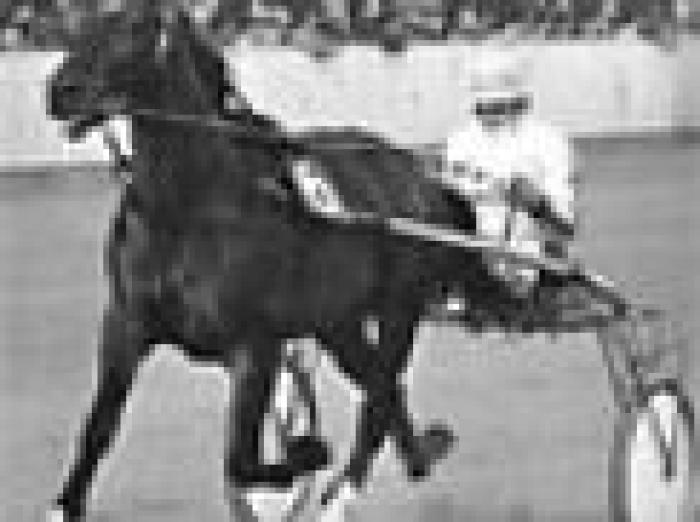 Totto amarcord: Delfo campione del mondo.