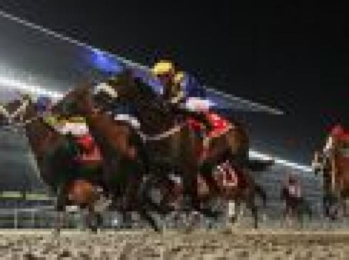 L'emozione della Dubai I World Cup nella foto di Stefano Grasso per cavallo2000