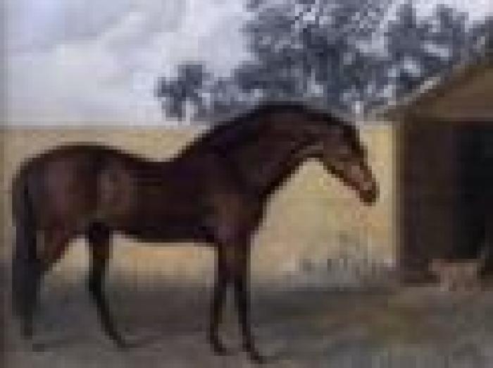 La storia: l'eterno amore di Godolphin e Roxana