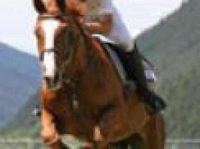 Alla milanese Resca il gran premio di Predazzo. Alla milanese Resca il gran premio di Predazzo.