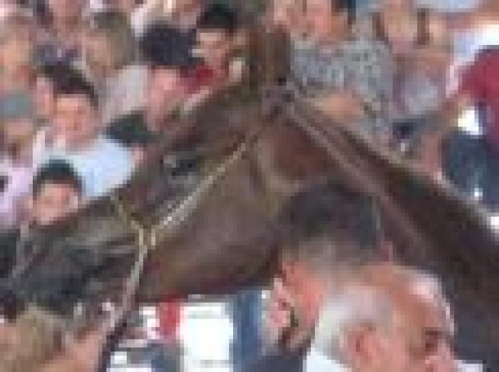 Mashara della Frasera in premiazione Mashara della Frasera in premiazione