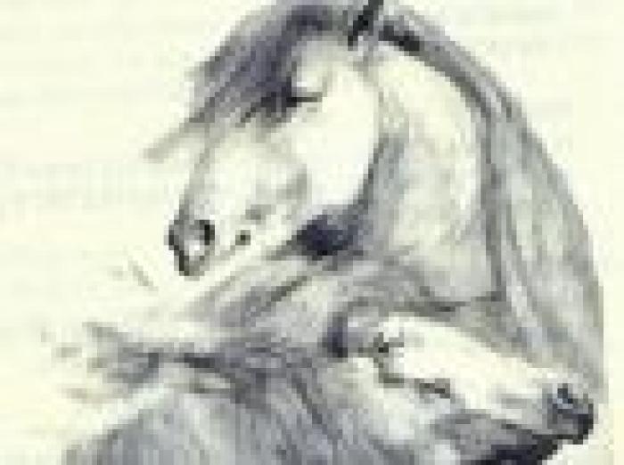 In home page la copertina del volume, qui sopra uno dei disegni dei quali è corredato