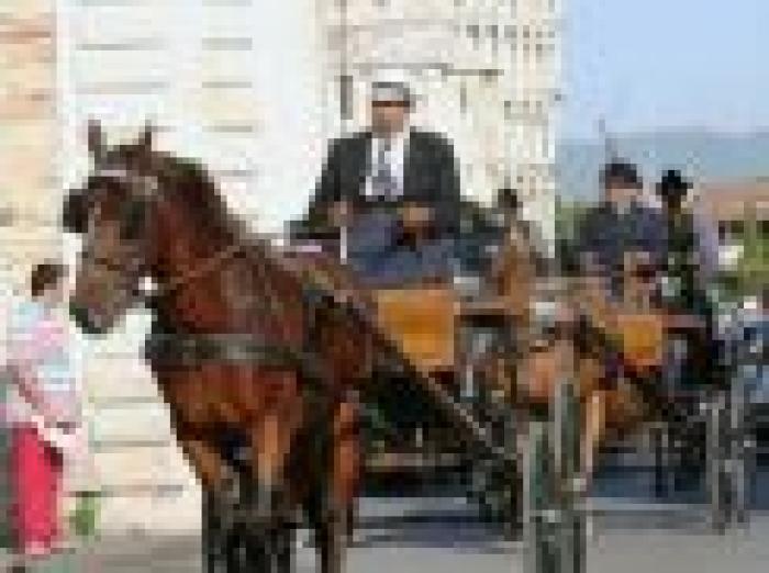 San Rossore, che spettacolo con il Cavallo Italiano.