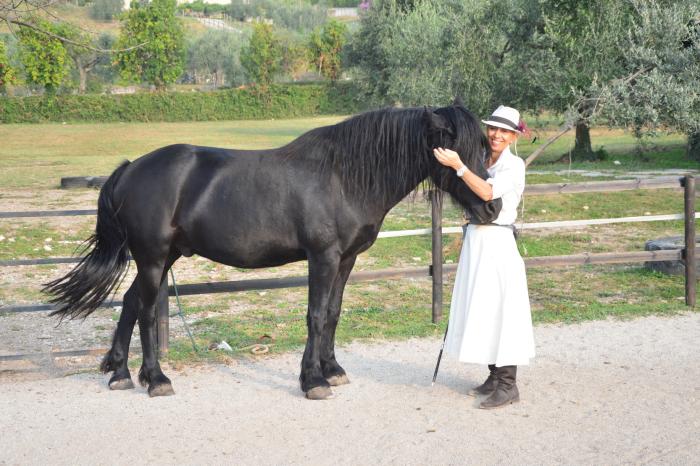 Lago di Garda, seminario per ritrovarsi attraverso i cavalli