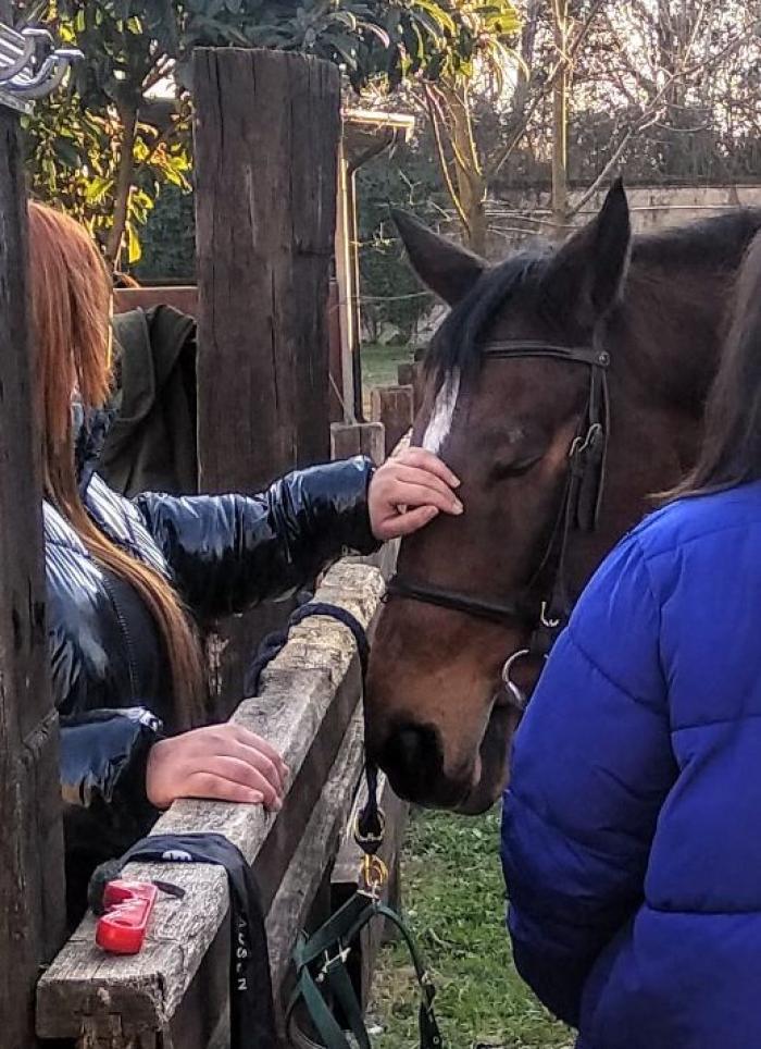 I cavalli per la salute mentale dei giovani