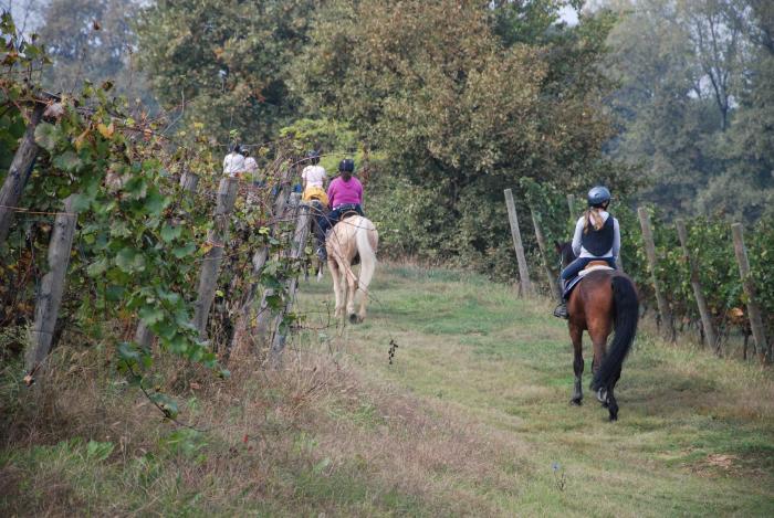 Lombardia, via libera al progetto di legge sul turismo equestre