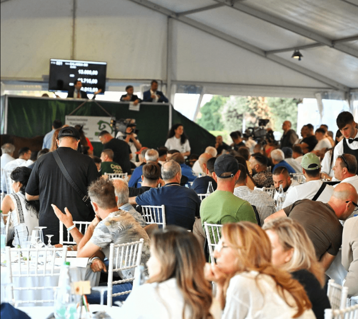 Comprare un sogno, sabato pomeriggio a Capannelle Asta Anact