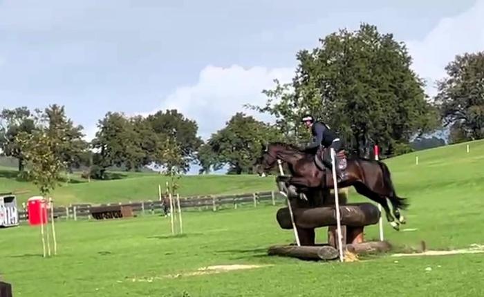 Completo: argento per l'anglo arabo Dolmen al Campionato Italiano dei 5 anni